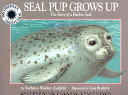 Seal_Pup_grows_up