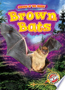 Brown_Bats