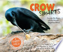Crow_smarts