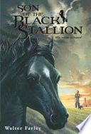 Son_of_the_black_stallion