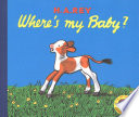Curious_George_Where_s_My_Baby_