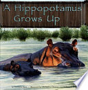 A_hippopotamus_grows_up
