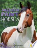 American_paint_horses