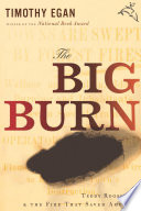 The_big_burn
